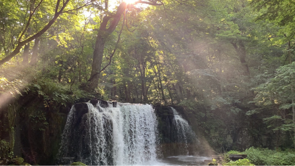 プライベートヨガサロン ルルゥチ