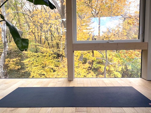 紅葉のluluciヨガスタジオ