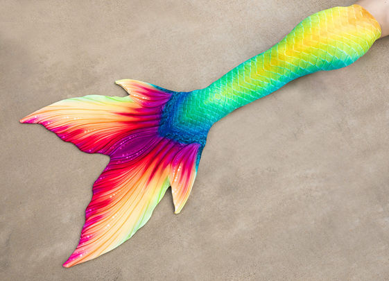mermaid tail, gainesville, florida