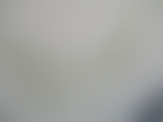 平塚市外壁塗装　　壁の苔、カビ