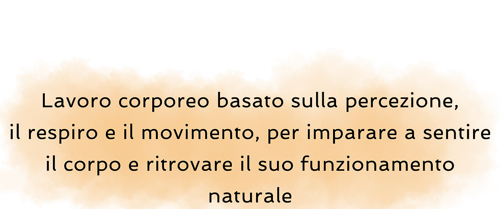 Senza titolo-1.png