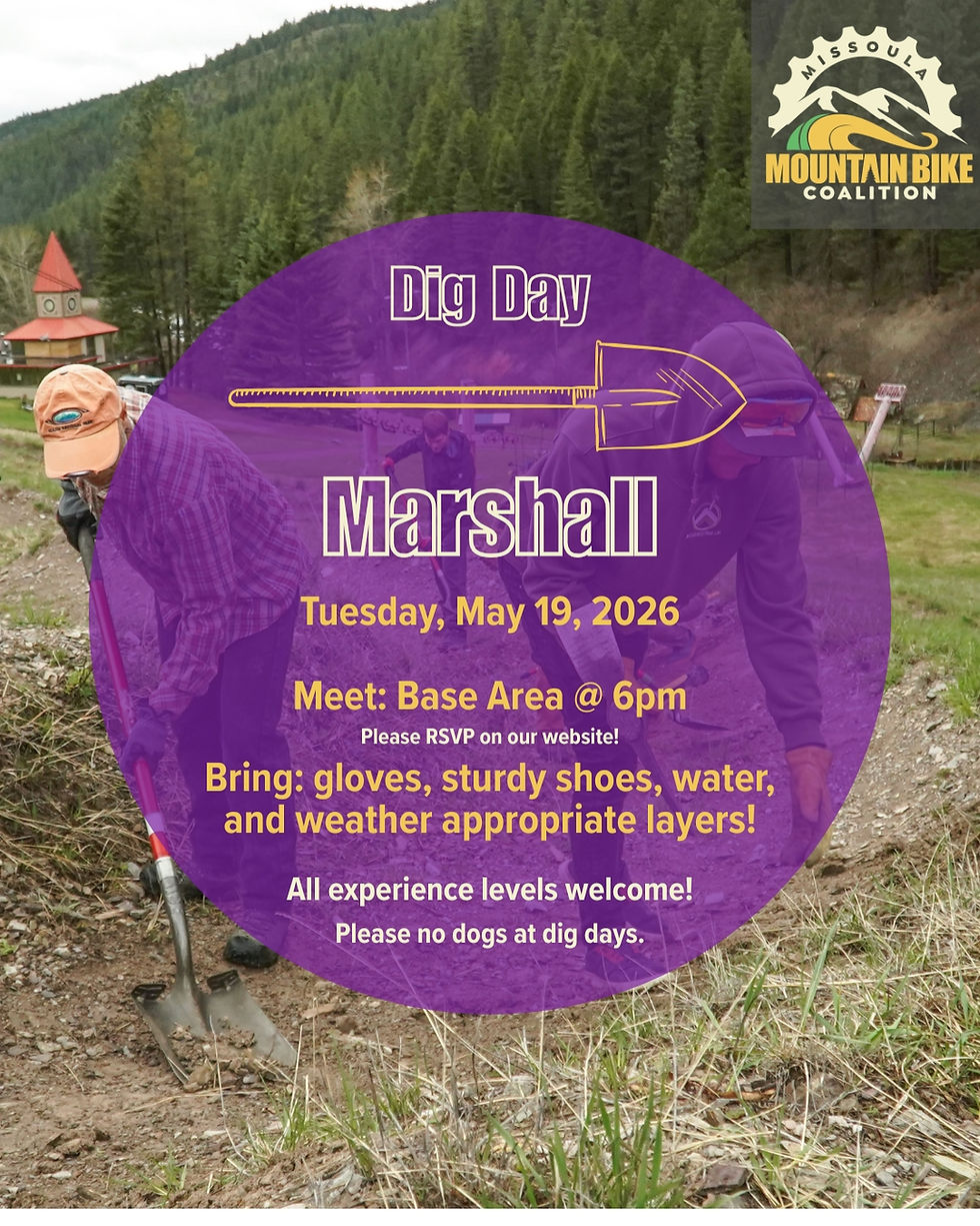 Dig - Marshall #4 (1)