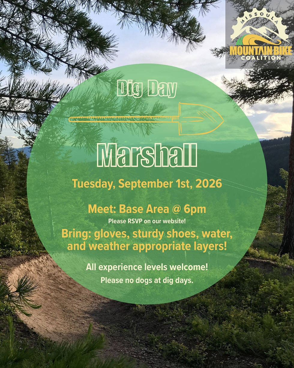 Dig - Marshall #11
