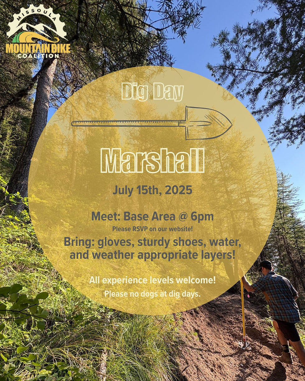 Dig - Marshall Tech Line #3