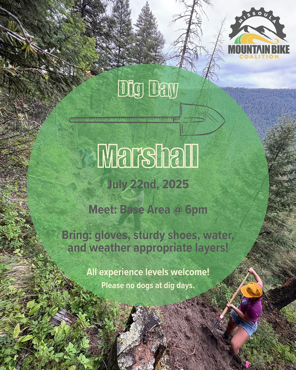 Dig - Marshall Tech Line #4