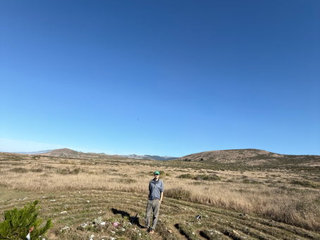 Jenner, CA - Coastal beauty
