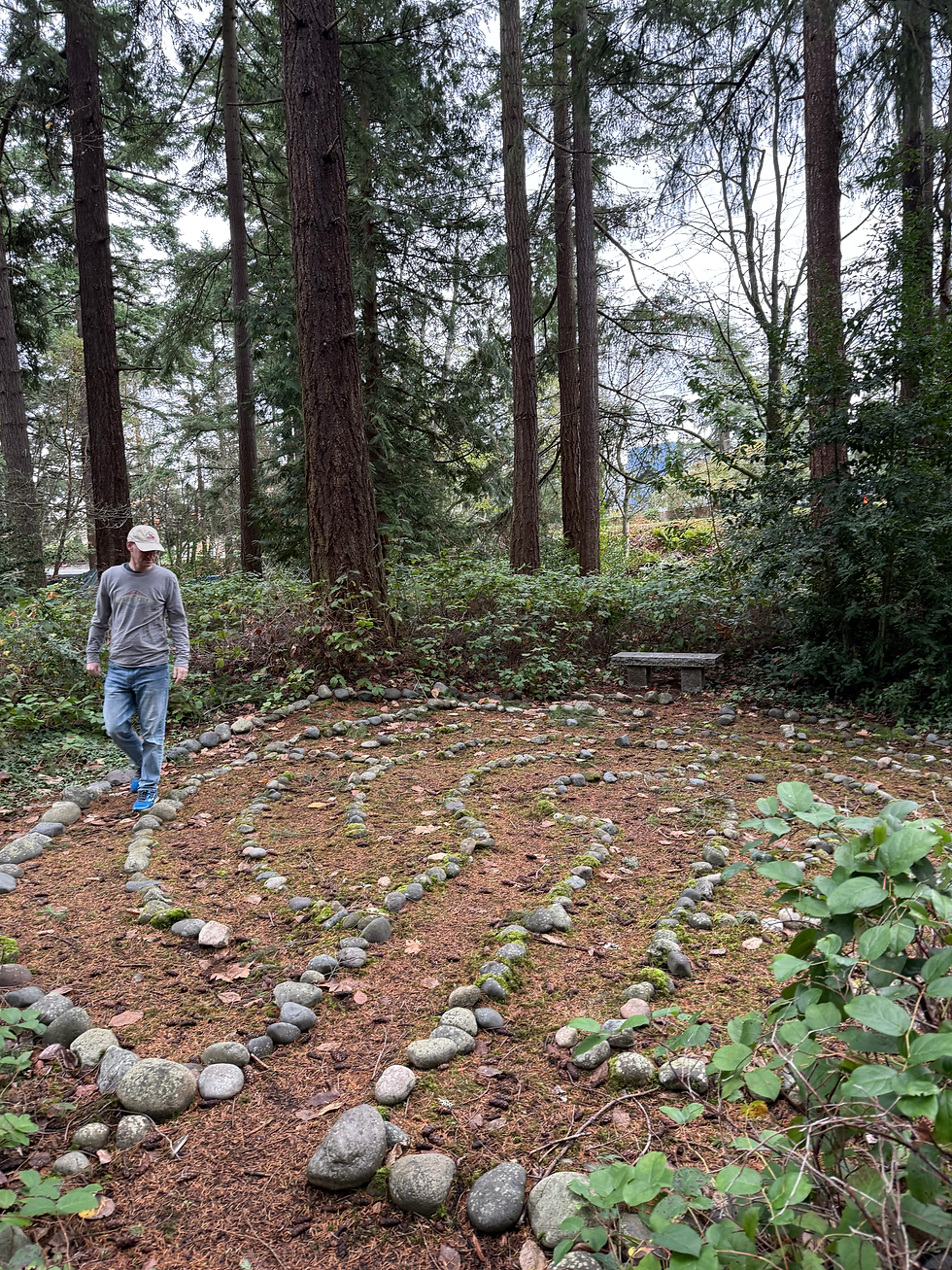 Shoreline, WA - In the woods