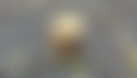 Shoreline, WA - A new addition