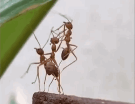 20230115_225649.GIF