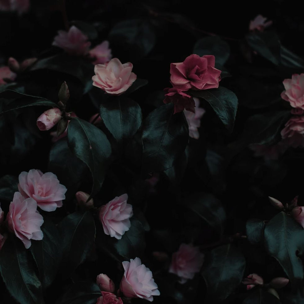 Beauty Meets Business-2.jpg