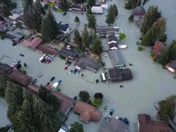 빛을 잃어간다(1)