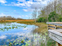 새해 첫 주일 아침