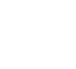 bovino
