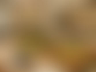 🌿 Lettre depuis Ogimi : là où la couleur nourrit la vie
