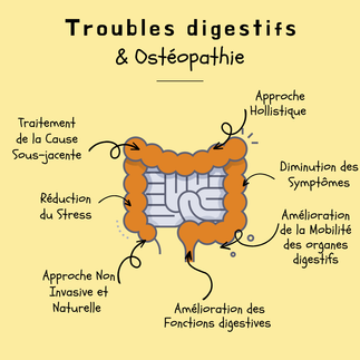 L'ostéopathie pour des troubles digestifs Nantes, Trouble digestif Nantes, Syndrome intestin irritable nantes, constipation grossesse Nantes