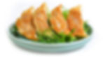 5.GYOZA