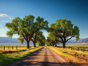 Why are healthy trees important?
