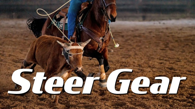 Steer Gear.jpeg