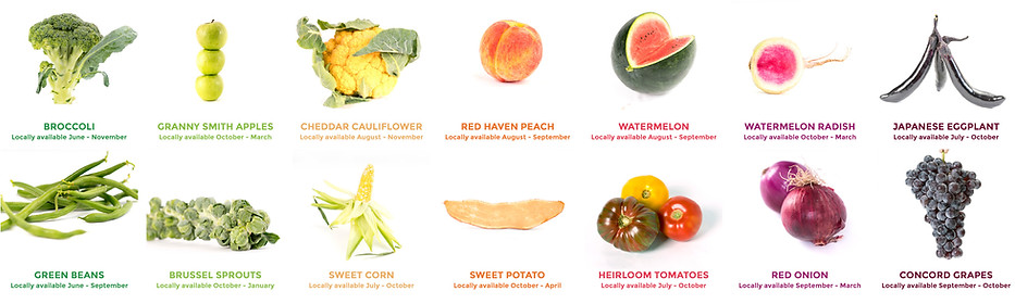 VEGGIE rainbow banner .jpg