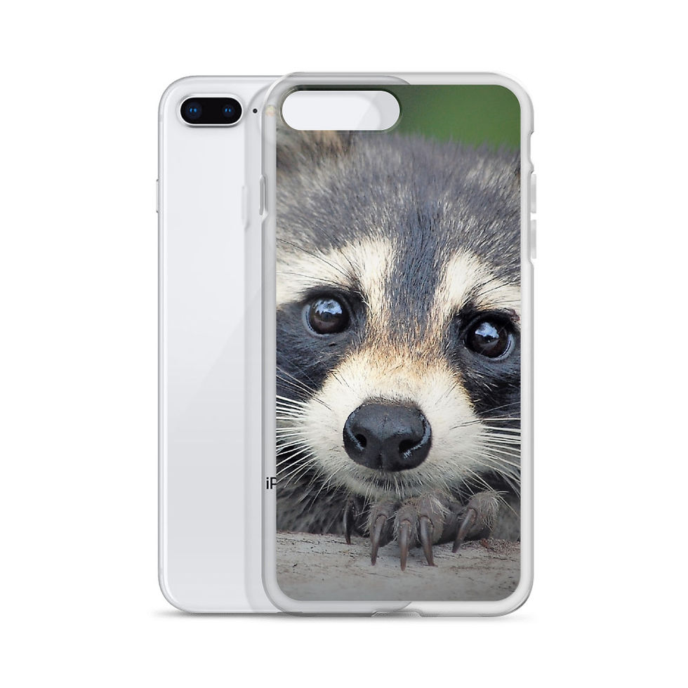 Thumbnail: "The Wekiva Rocket" iPhone Case
