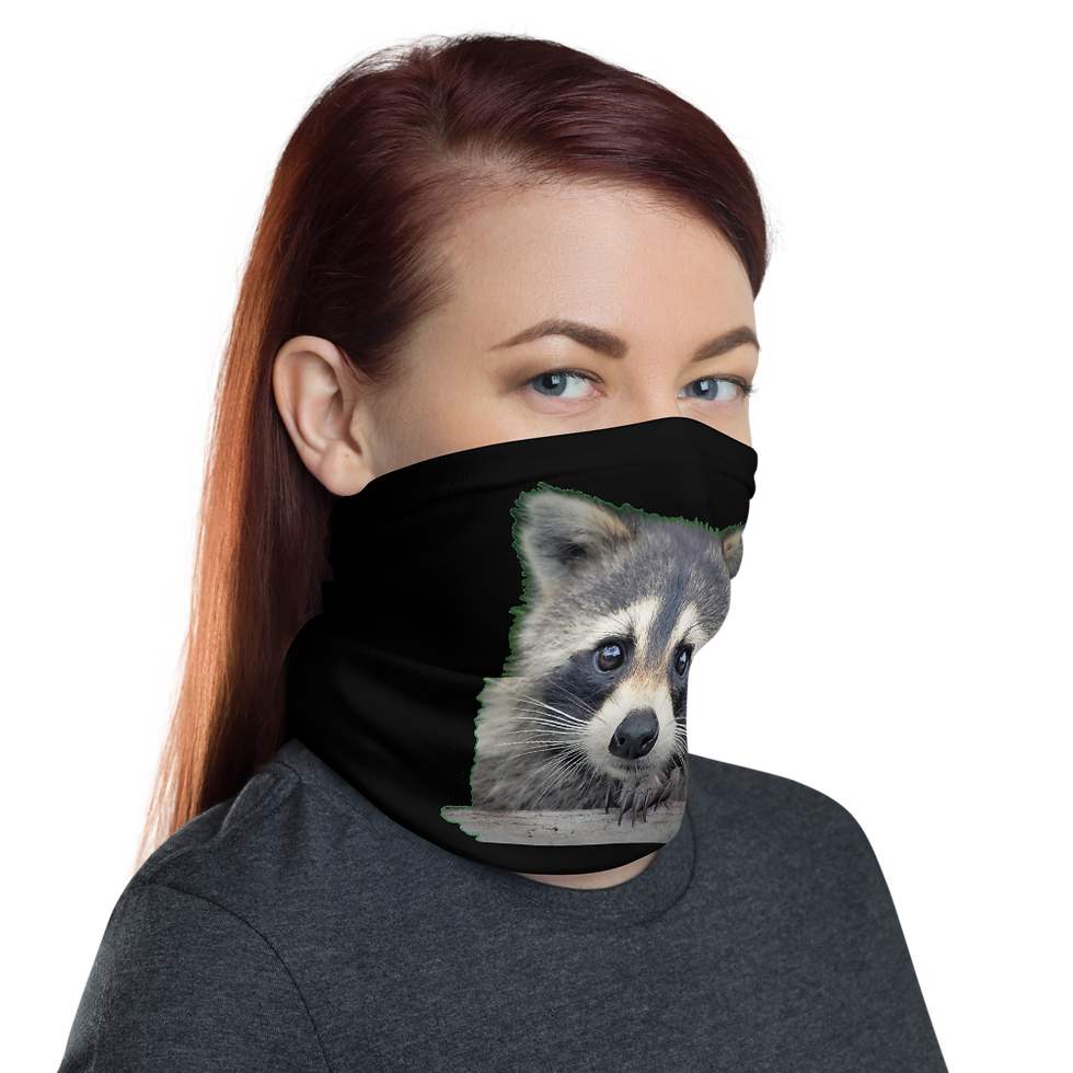 Thumbnail: "The Wekiva Rocket" Neck Gaiter