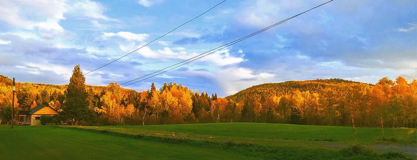 summer studio_edited.png