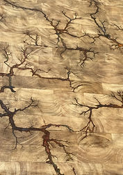 CD69A3A3-AB7B-41B5-80E6-5BA7C1526145_edi