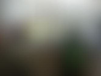 なにか見えた？？