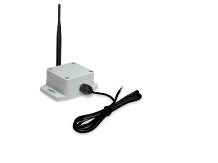 How to Monitor Walk-In Cooler Temperature Remotely
