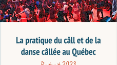 2024 call survey - Analysis