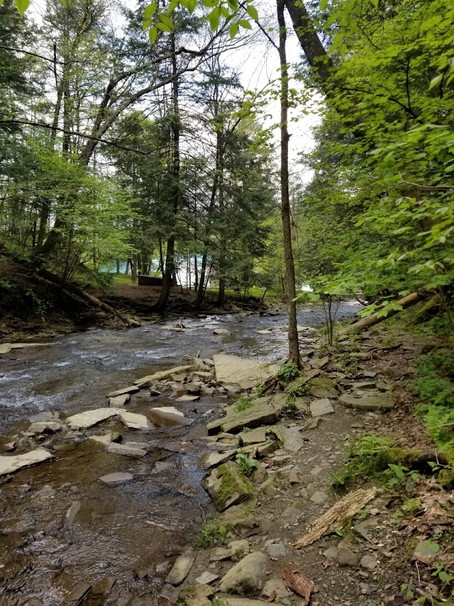 Nine Sacred Woods of the NE USA