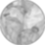 Ellipse 31