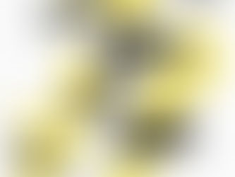 Kleta expoferia fue un éxito