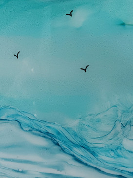 MJ Studios Gulls