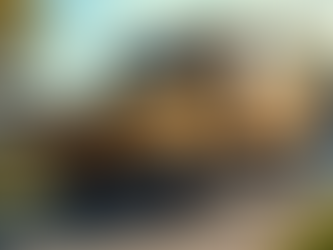 Why Choose Gott Junk Removal for Your Cleanup Needs