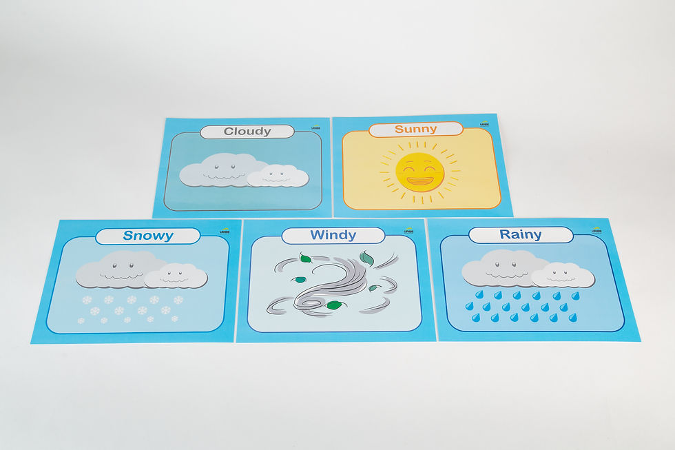 Miniatura: Flashcards