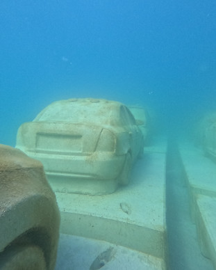 reeflinbe miami ace diving padi ssi sdi tdi erdi