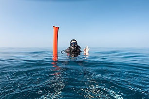 PADI Delayed-Surface-Marker-buoy.jpeg