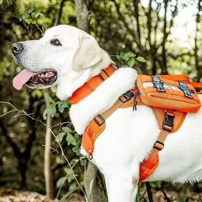 Coleira Tática para Goldens OneTigris : conforto, controle e segurança em uma só coleira