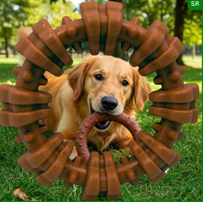 Descubra o brinquedo ideal para o seu golden retriever: Anel de Mastigar Nylabone Power Chew