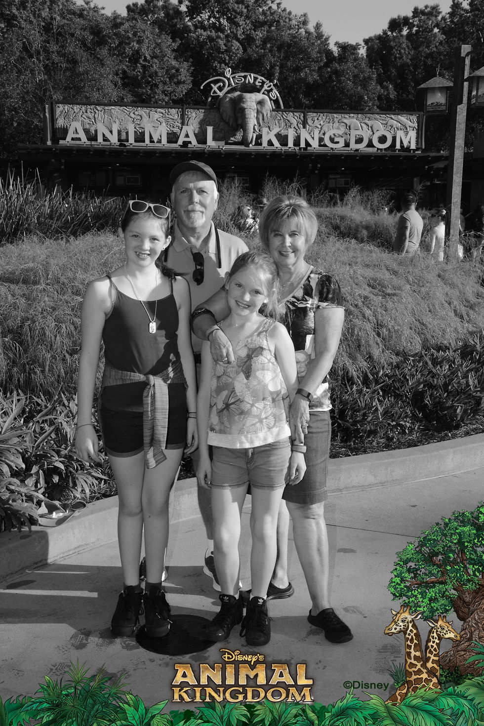 wdw2015264306677057_7481408337