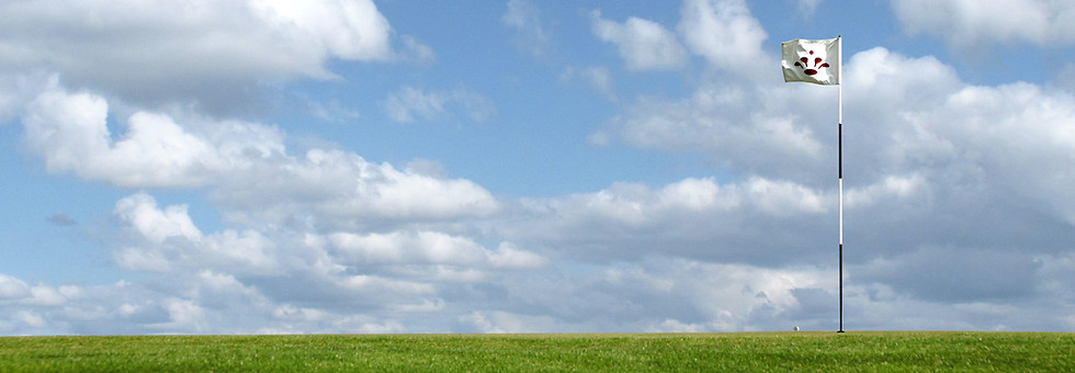 Vlag gras lucht.jpg