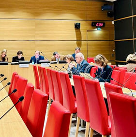 Suite des auditions de la Commission d'enquête