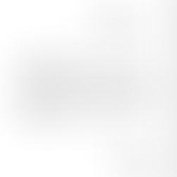 Collège Alfred de Vigny