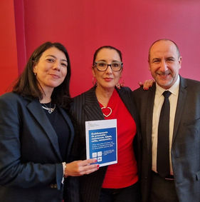 Dispositif pour la mise en accessibilité 