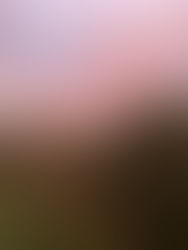 Expectations and Disappointments