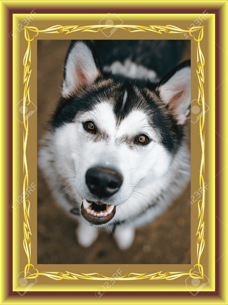 Clipping Mask in PS.png