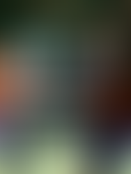 １月の練習参加・トライアウト開催日程について