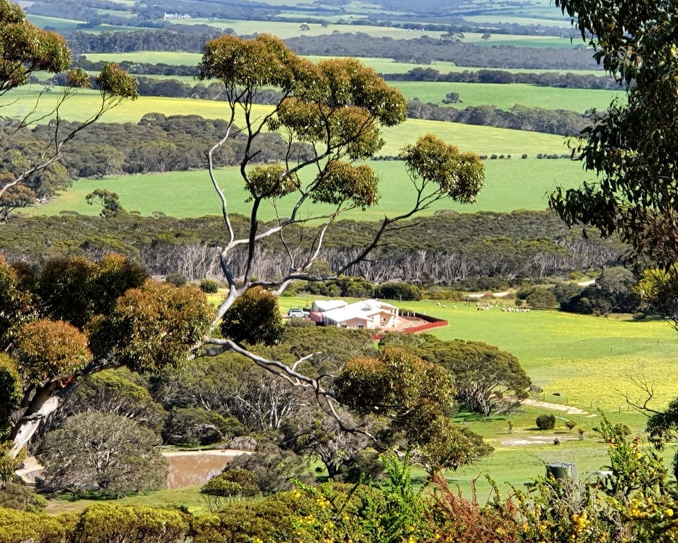 Kangaroo Island Art Gallery, Art Lessons, Pottery and More