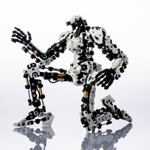 ラグナフレーム（フレームとサブアーマー） ラグナフレーム（RF01） | Robomaniax